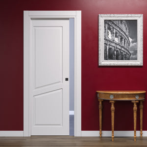 Classic Pantographed Sliding Door with 2 Diagonal Panels