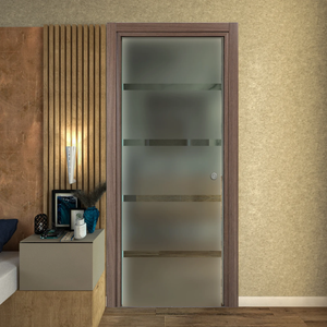 Pocket Door in Satin Glass with Transparent Lines