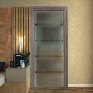 Pocket Door in Satin Glass with Transparent Lines