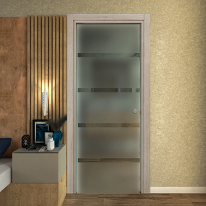 Pocket Door in Satin Glass with Transparent Lines