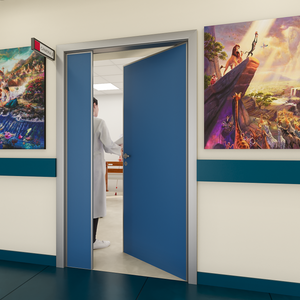 Porta per ospedali colore blu